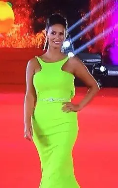 Pamela Díaz Gala de Viña 2016